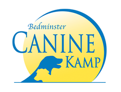 Bedminster Canine Kamp - Pet Day Care and Boarding
